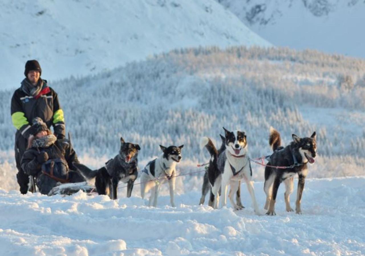 Lyngen Experience Lodge Nord-Lenangen Buitenkant foto
