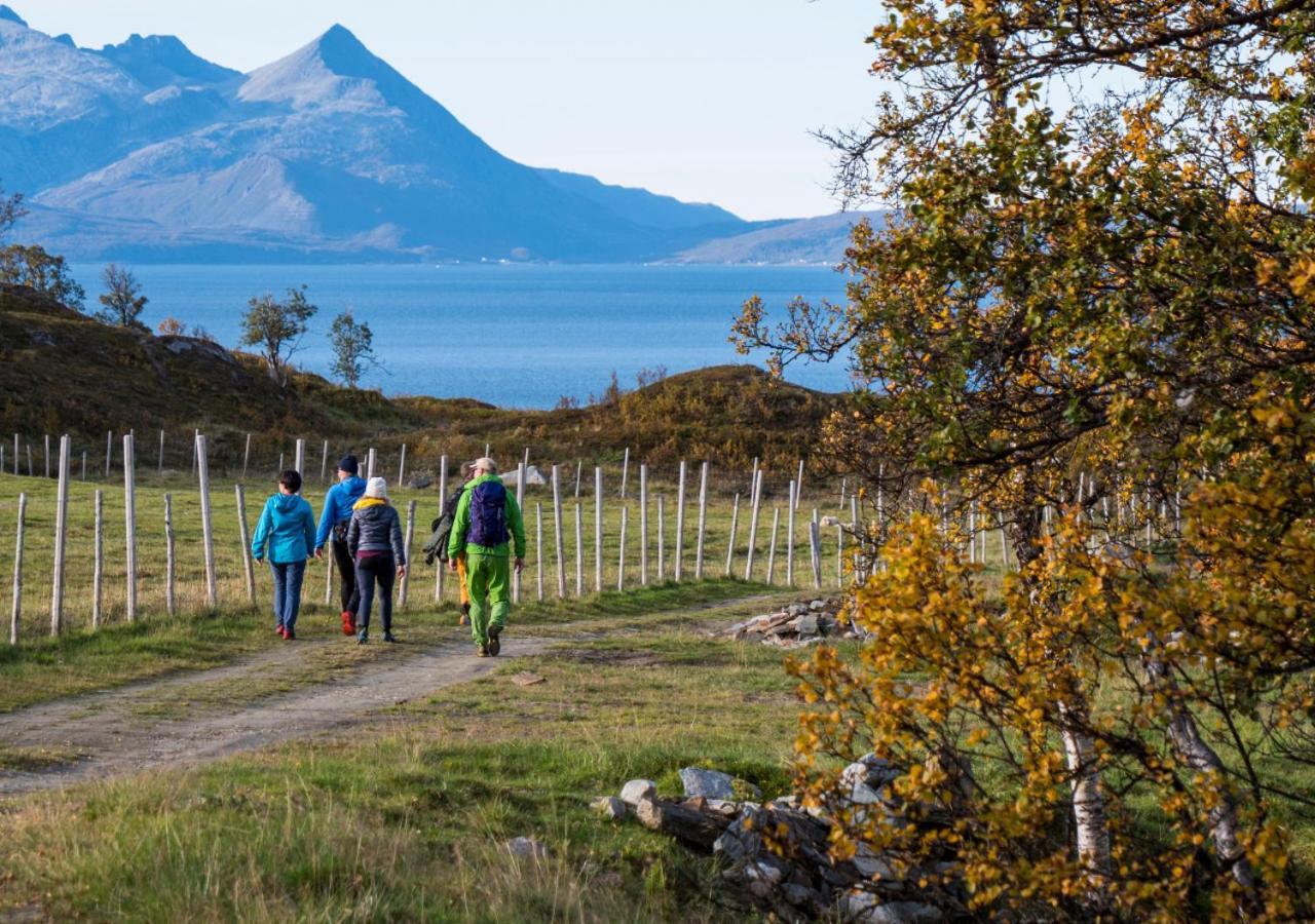 Lyngen Experience Lodge Nord-Lenangen Buitenkant foto