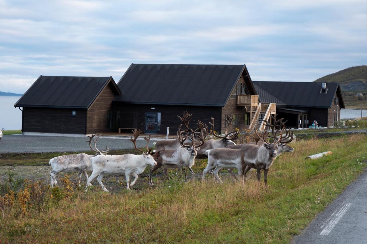 Lyngen Experience Lodge Nord-Lenangen Buitenkant foto